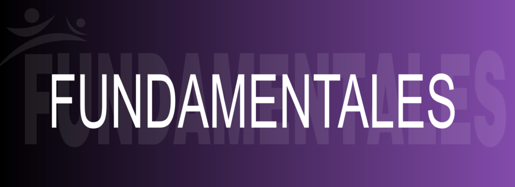 MATERIAS FUNDAMENTALES